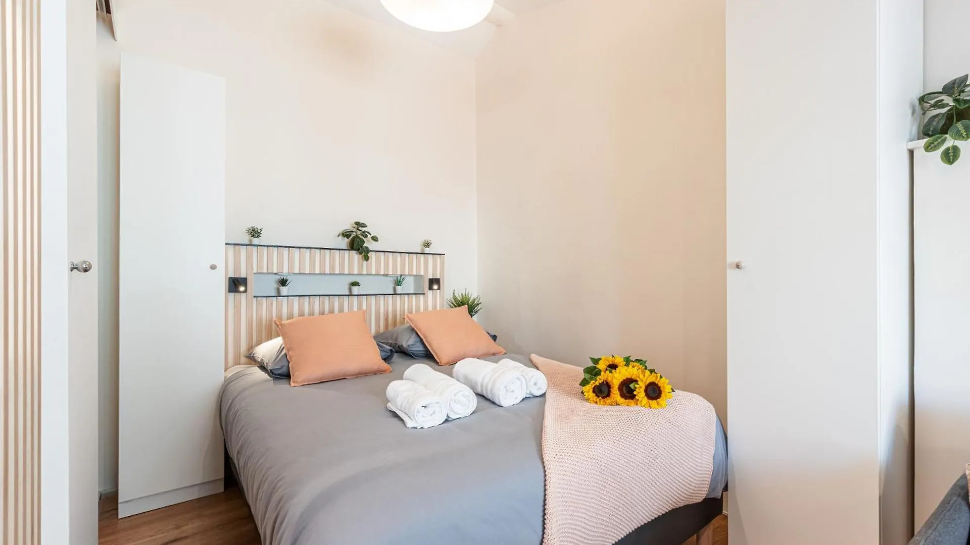 Feel Home - Collet Nicea